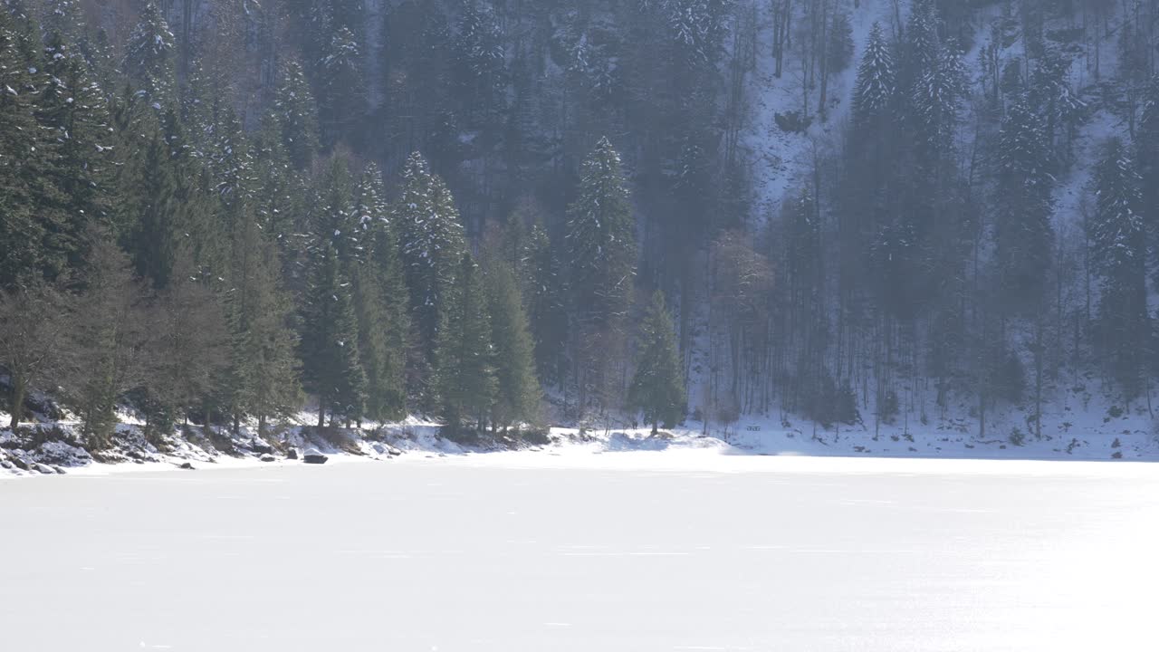 Corbeaux lake France snow covered frozen water surface surrounded by forest nature
