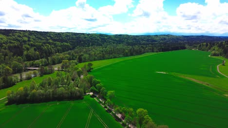 drone fly over forest and fields in summer 4k