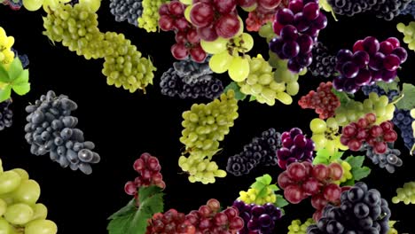 falling grapes background, loop,  60fps, with alpha channel