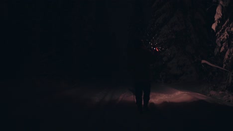 a man with flashlight walking with pet dog through snow-covered ground at night