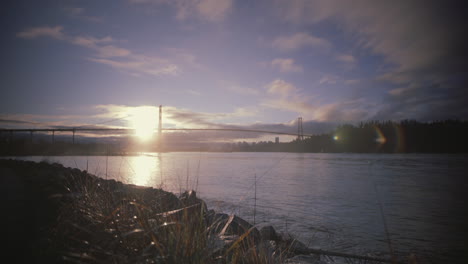 revealing lions gate bridge with grass in foreground