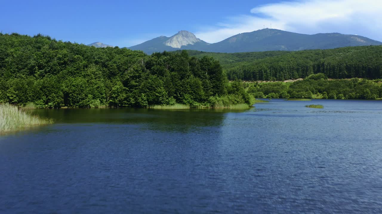 숲으로 둘러싸인 푸른 호수의 조감도