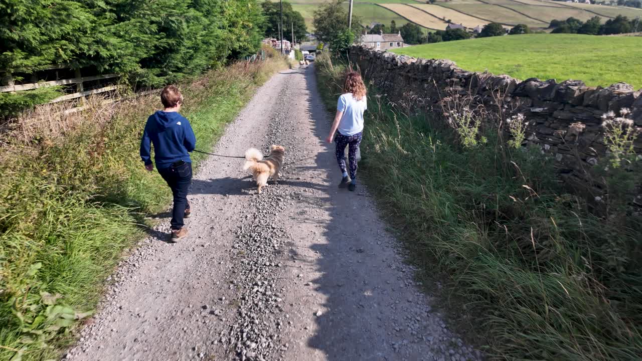 Two freidns walk dogs on a rural gravel lane beside a stone wall and green fields