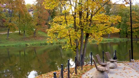 Falling-golden-leaves-near-park-pond,-aerial-dolly-forward-view