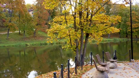 falling golden leaves near park pond, aerial dolly forward view