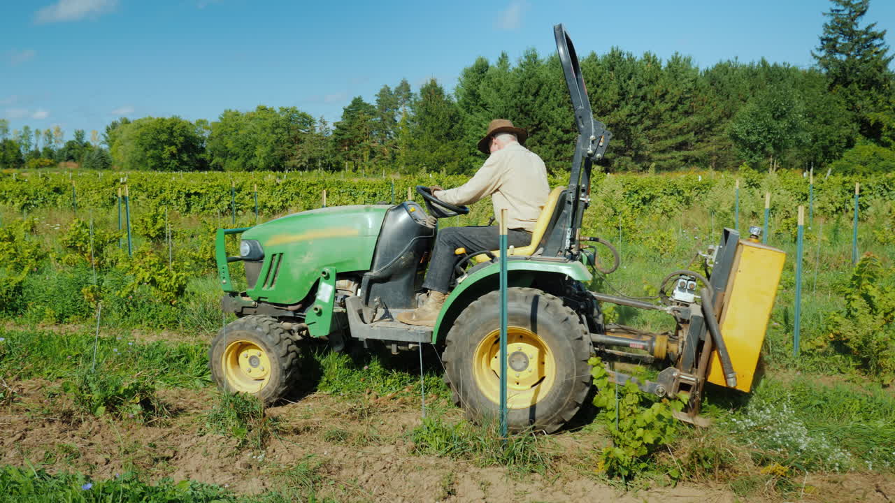 un agricultor trabaja en un pequeño tractor arranca malas hierbas cerca del viñedo