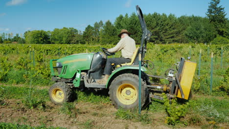 un agricultor trabaja en un pequeño tractor arranca malas hierbas cerca del viñedo