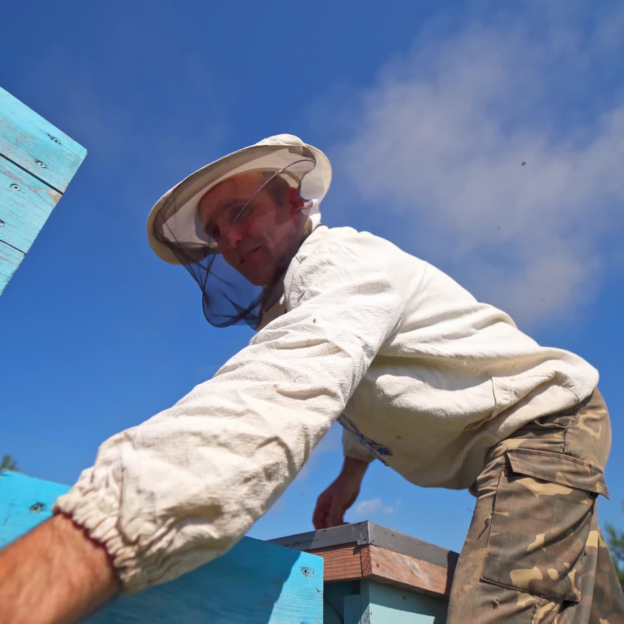 Beekeeper looks into hive. Apiarist working with bee frames against blue sky. Beekeeping process. View from below.
