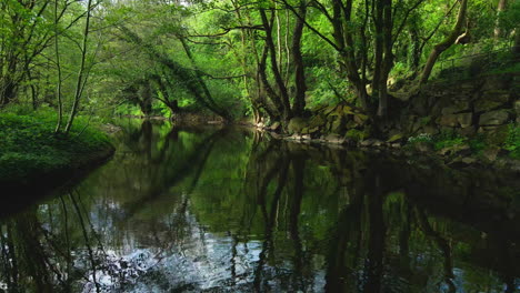 Tranquilo-Y-Sereno-Flotando-A-Lo-Largo-Del-Río-Goyt-En-Torrs-Riverside-Park