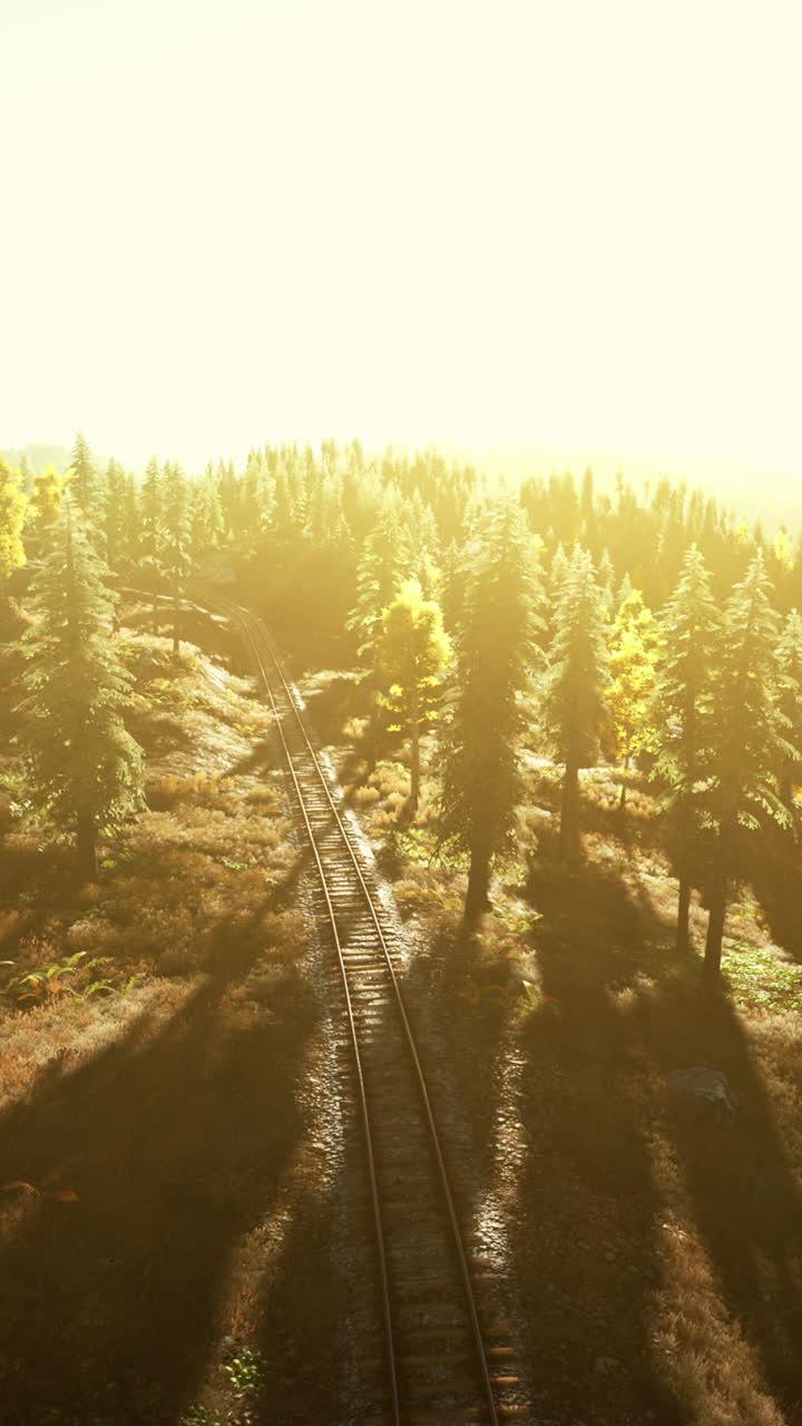 vista aérea de las vías del tren serpenteando a través de un bosque durante la hora dorada