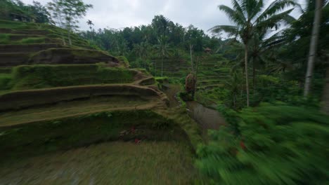 flying through objects on a terraced rice field in tegallalang in bali on a cloudy day