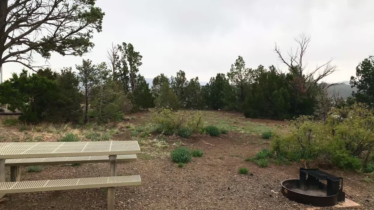 테이블 옆의 아름다운 풍경과 캠핑장에서 나무와 초목으로 둘러싸인 캠프파이어가 있는 비오는 날