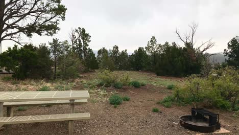 día lluvioso con hermosos paisajes junto a una mesa y una fogata rodeada de árboles y vegetación en un lugar para acampar