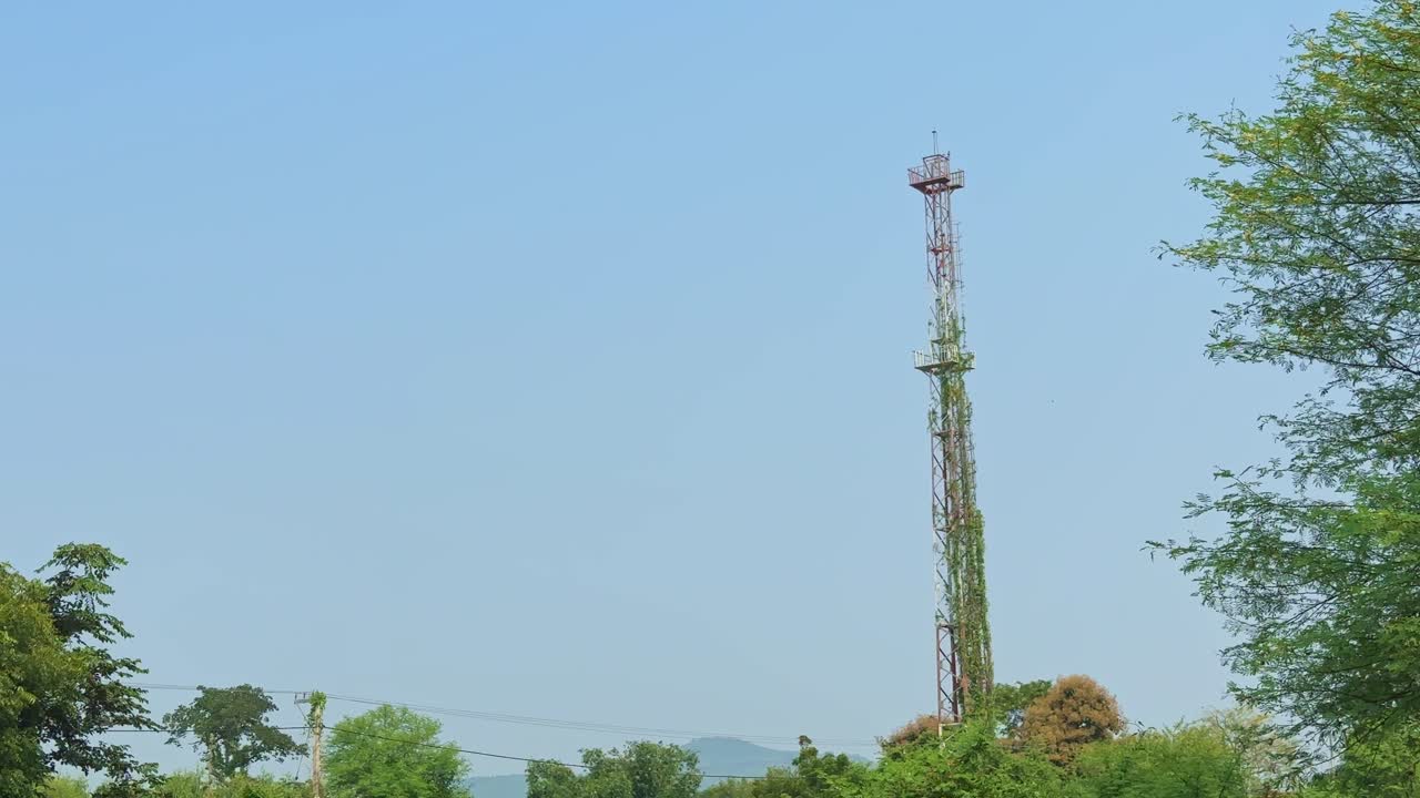 A tilt-up shot showing a tall telecom tower partially covered with climbing plants against a bright blue sky