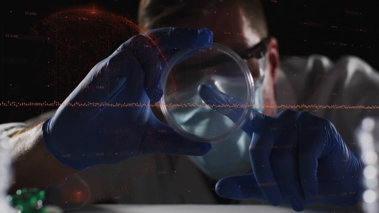 Ricercatore di laboratorio che presenta una capsula di Petri, inclinando e sondando un campione sotto l'illuminazione del laboratorio per l'ispezione.