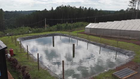 este video muestra un entorno rural con invernaderos y un estanque de biogás, destacando las prácticas sostenibles utilizadas en la horticultura