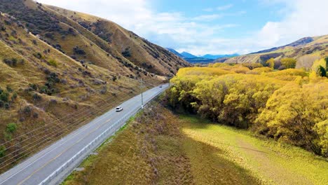 drone footage glides above a winding highway through golden autumn trees and hills near wanaka, new zealand, under bright natural daylight