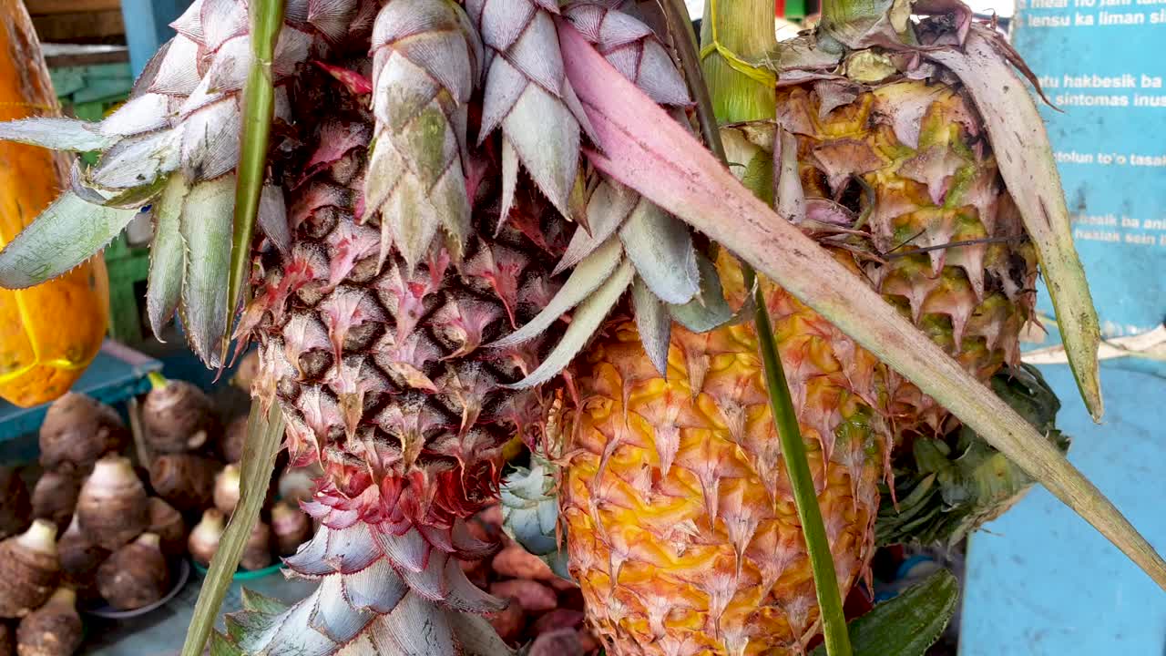 piñas recién cosechadas colgando de un puesto en el mercado de frutas y verduras en la isla tropical de timor leste, sudeste de asia