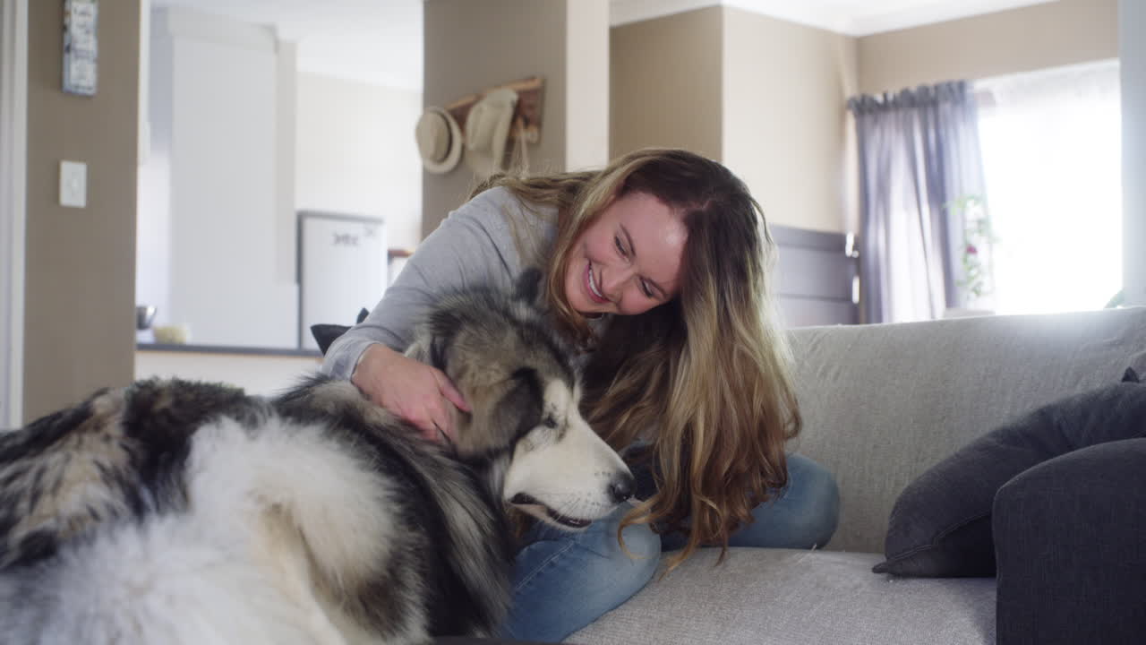 소파 에 있는 허스키 개 를 안고 있는 여자