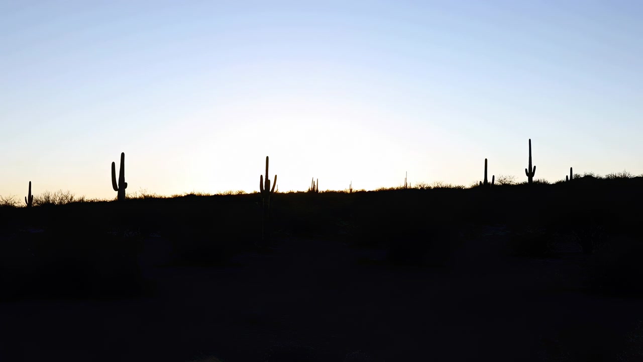 Ferner Wüstenkamm, gesäumt von hohen Saguaro-Kakteen und niedrigem dornigem Gestrüpp, als scharfe dunkle Silhouetten vor einem hellen, hintergrundbeleuchteten Himmel gezeigt, mit weitem offenem Raum, sanften Farben und ruhigem natürlichen Kontrast.