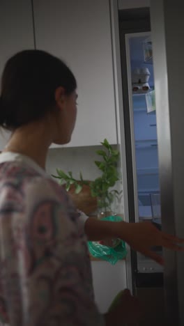 mujer preparando comida en la cocina
