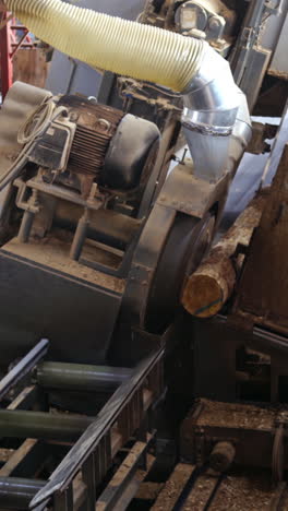 the tree sawmill factory. logs being transferred on a log machine inside the sawmill industry. vertical video