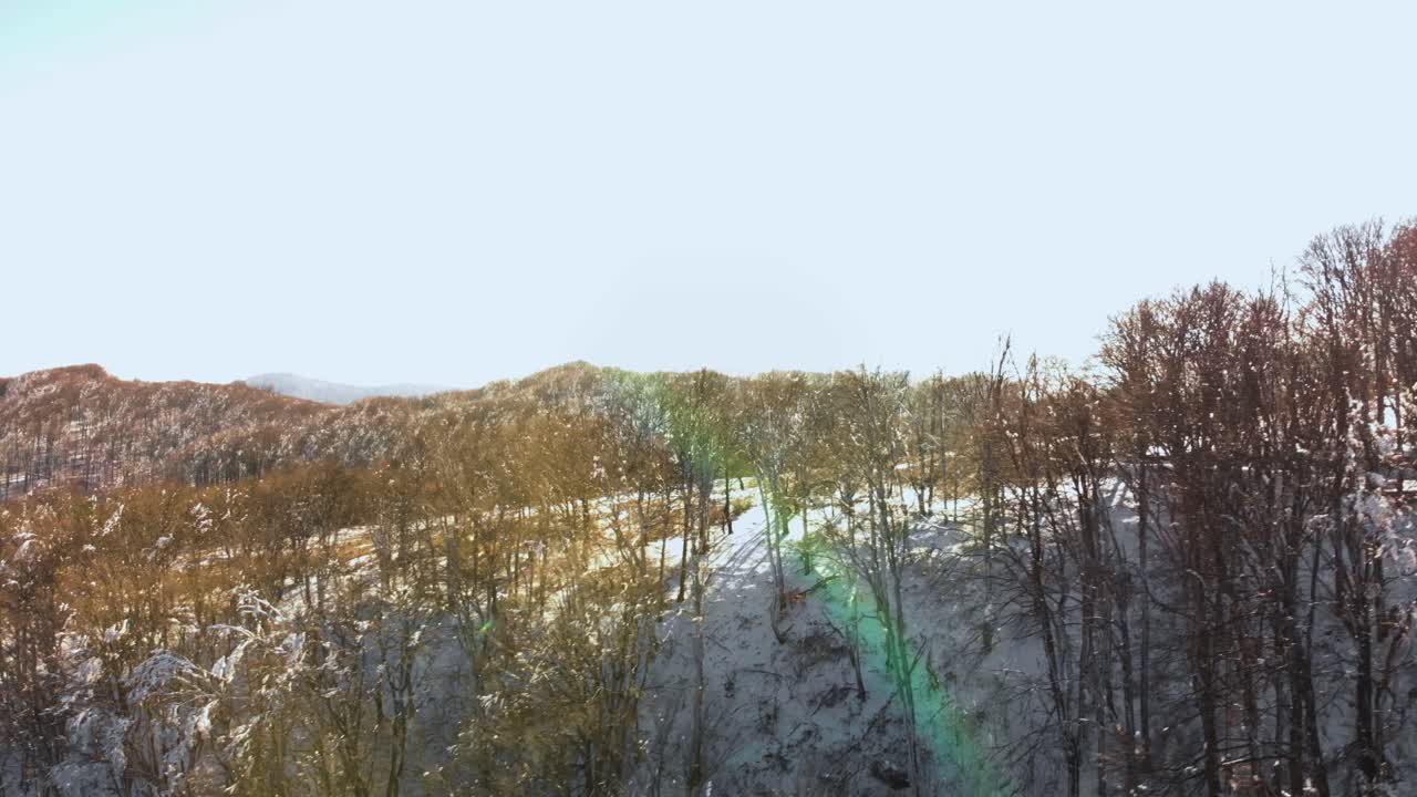 2월 1일 겨울 산 숲의 공중 촬영