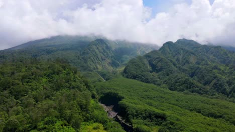 Aerial-view-of-forest-vegetation-and-river-valleys-on-the-slope-of-mountain-in-cloudy-weather