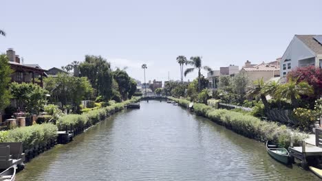 wide shot of a canal with vegetation and houses on the sides