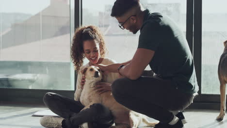 couple playing with their dog
