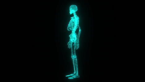 echar un vistazo al interior del cuerpo humano