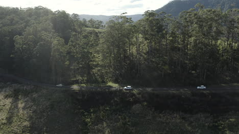 Disparo-De-Dron-De-4k-De-Tres-Autos-Blancos-Conduciendo-En-Una-Pequeña-Carretera-A-Través-De-Un-Hermoso-Bosque-Denso-Verde-En-Australia