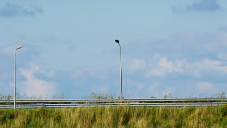 fast trucks and cars driving on a highway