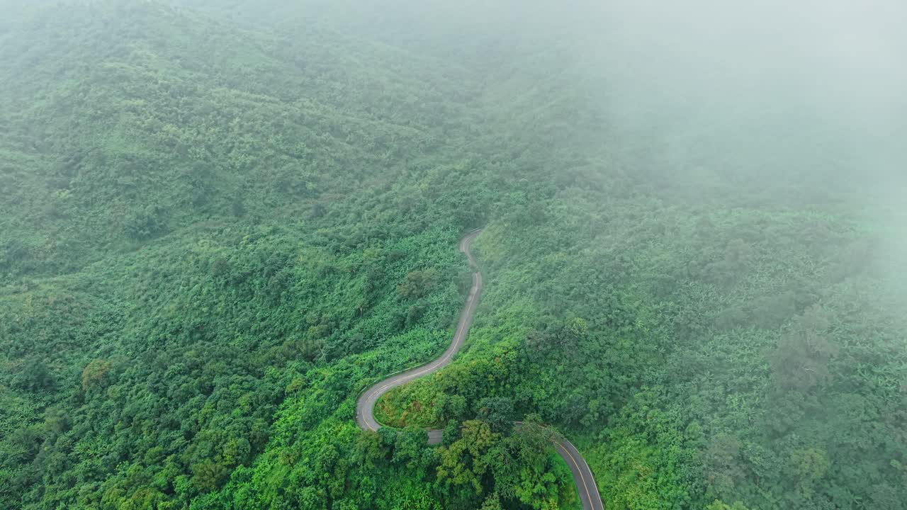 camino de montaña a través del bosque de niebla