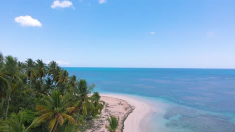 Toma-Aérea-De-Una-Playa-Caribeña-Desierta-Con-Exuberantes-Palmeras-Y-Aguas-Turquesas