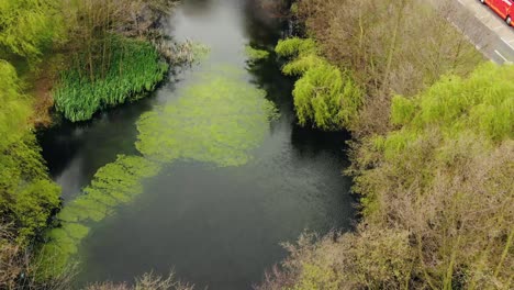 Beautiful-Aerial-view-of-Pond-in-London