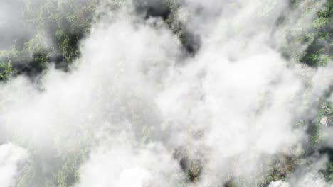 point-of-view-from-top,-green-forest-with-white-clouds