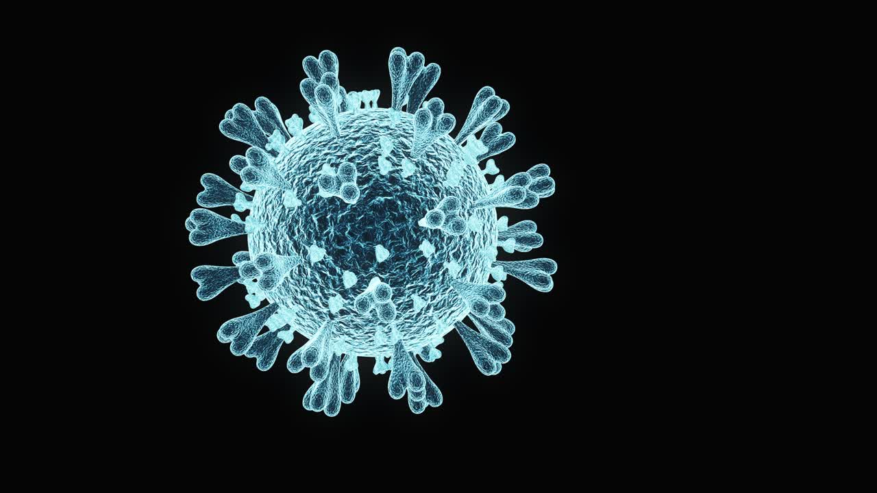 el bucle de covid-19