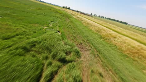 fpv drone shot flying at high speed over a ditch and marshland