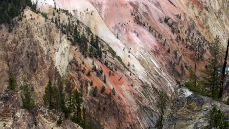 pan across salmon-colored canyon wall in the grand canyon of yellowstone