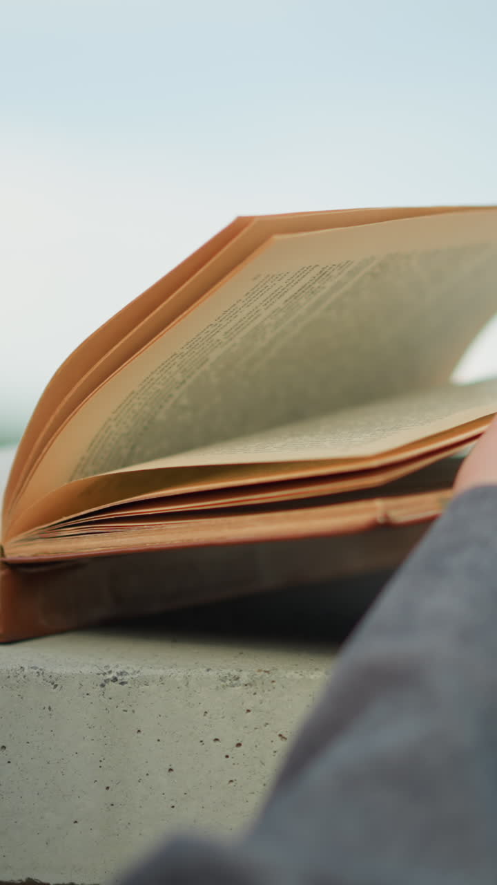 una dama con una camisa gris sosteniendo un libro en una valla, con el viento volviendo las páginas suavemente, ella está cerca de la tranquila orilla del río, con la vegetación visible en el fondo