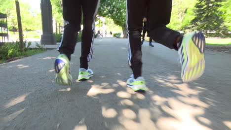 people walking/running in park