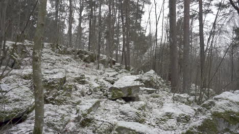 Statische-Aufnahme-In-Einem-Wald,-Wenn-Es-Auf-Einem-Hügel-Schneit