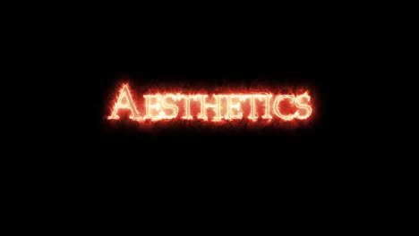 aesthetics written with fire. loop