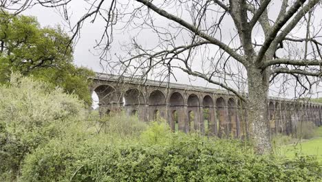 ouse valley viaduct framed by trees on cloudy day