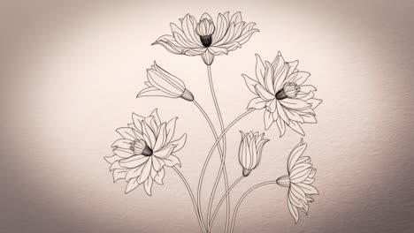 elegant floral line art