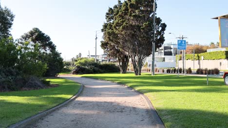 un paseo pacífico en los jardines de flagstaff de melbourne