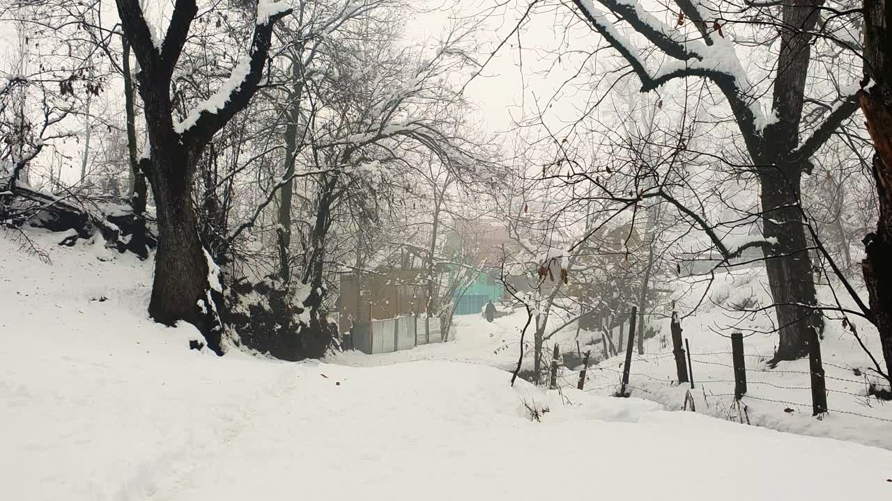 Snowy Path Through a Winter Village