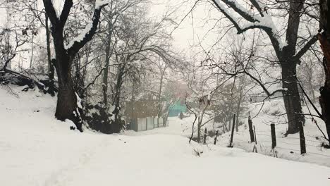 snowy path through a winter village