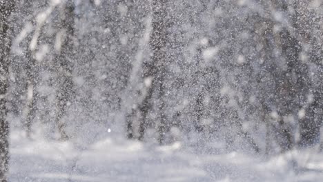 paisaje de invierno durante las nevadas. fondo abstracto de navidad de invierno en súper cámara lenta.